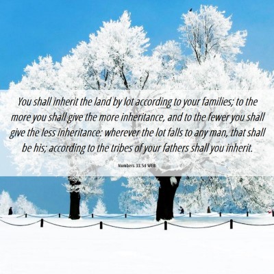 Picture 06 - Numbers 33:54 WEB - You shall inherit the land by lot according to - Bible Verse Picture