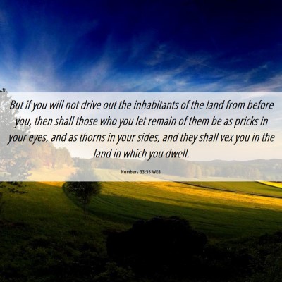 Picture 06 - Numbers 33:55 WEB - But if you will not drive out the inhabitants of - Bible Verse Picture