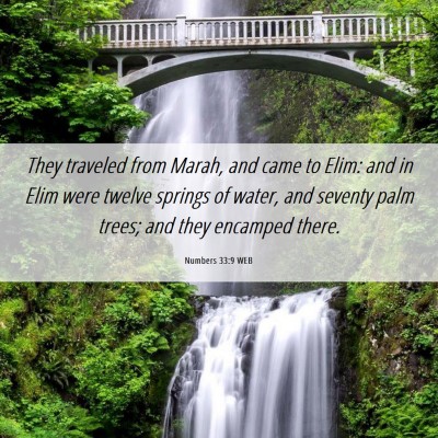 Picture 06 - Numbers 33:9 WEB - They traveled from Marah, and came to Elim: and - Bible Verse Picture