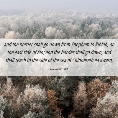 Picture 06 - Numbers 34:11 WEB - and the border shall go down from Shepham to - Bible Verse Picture