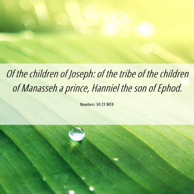 Picture 06 - Numbers 34:23 WEB - Of the children of Joseph: of the tribe of the - Bible Verse Picture