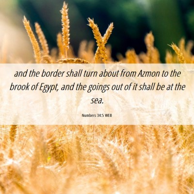 Picture 06 - Numbers 34:5 WEB - and the border shall turn about from Azmon to the - Bible Verse Picture