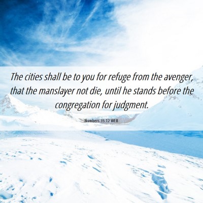 Picture 06 - Numbers 35:12 WEB - The cities shall be to you for refuge from the - Bible Verse Picture