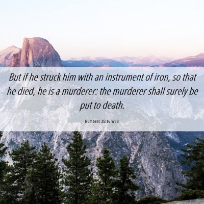 Picture 06 - Numbers 35:16 WEB - But if he struck him with an instrument of iron, - Bible Verse Picture