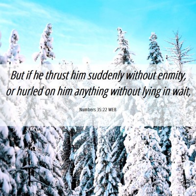 Picture 06 - Numbers 35:22 WEB - But if he thrust him suddenly without enmity, or - Bible Verse Picture