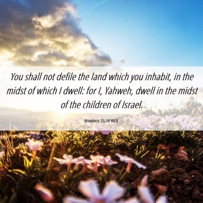 Picture 06 - Numbers 35:34 WEB - You shall not defile the land which you inhabit, - Bible Verse Picture