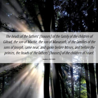 Picture 06 - Numbers 36:1 WEB - The heads of the fathers' [houses] of the family - Bible Verse Picture