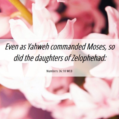 Picture 06 - Numbers 36:10 WEB - Even as Yahweh commanded Moses, so did the - Bible Verse Picture