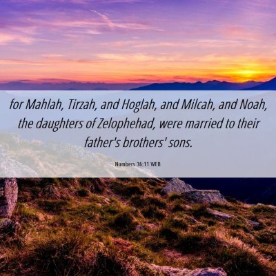 Picture 06 - Numbers 36:11 WEB - for Mahlah, Tirzah, and Hoglah, and Milcah, and - Bible Verse Picture
