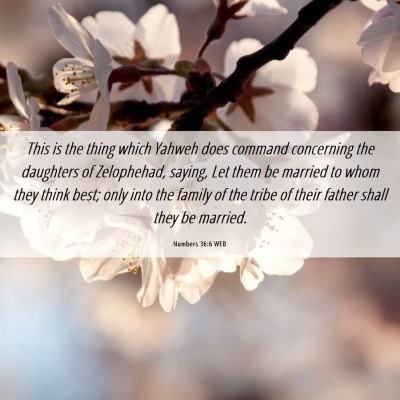 Picture 06 - Numbers 36:6 WEB - This is the thing which Yahweh does command - Bible Verse Picture