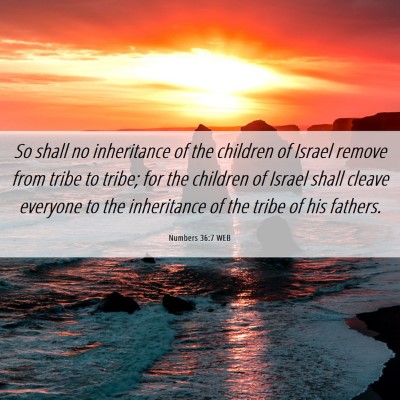 Picture 06 - Numbers 36:7 WEB - So shall no inheritance of the children of Israel - Bible Verse Picture