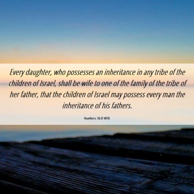Picture 06 - Numbers 36:8 WEB - Every daughter, who possesses an inheritance in - Bible Verse Picture