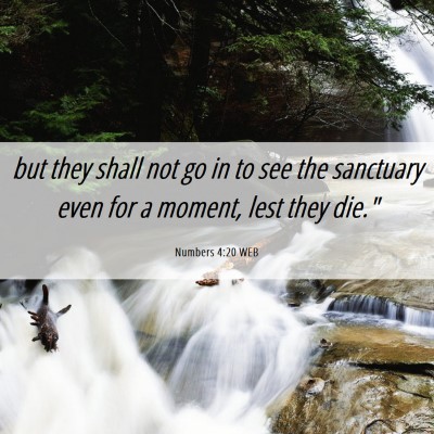 Picture 06 - Numbers 4:20 WEB - but they shall not go in to see the sanctuary - Bible Verse Picture