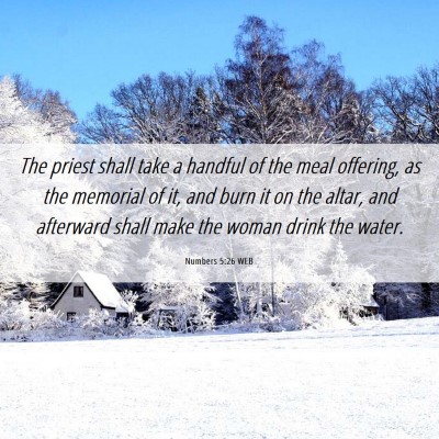 Picture 06 - Numbers 5:26 WEB - The priest shall take a handful of the meal - Bible Verse Picture