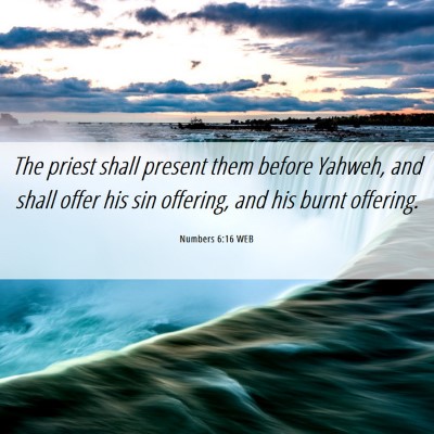 Picture 06 - Numbers 6:16 WEB - The priest shall present them before Yahweh, and - Bible Verse Picture