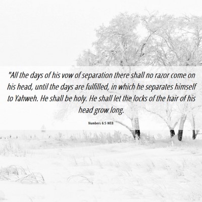 Picture 06 - Numbers 6:5 WEB - 