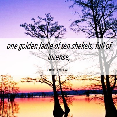 Picture 06 - Numbers 7:14 WEB - one golden ladle of ten shekels, full of - Bible Verse Picture
