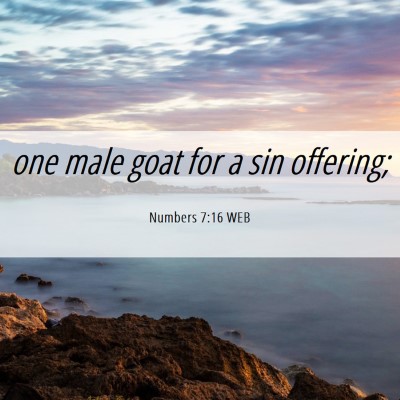 Picture 06 - Numbers 7:16 WEB - one male goat for a sin - Bible Verse Picture