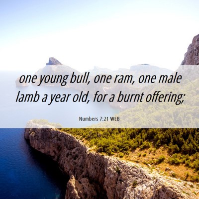 Picture 06 - Numbers 7:21 WEB - one young bull, one ram, one male lamb a year - Bible Verse Picture