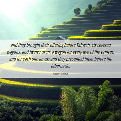 Picture 06 - Numbers 7:3 WEB - and they brought their offering before Yahweh, - Bible Verse Picture