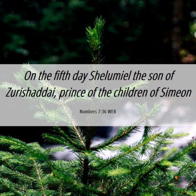Picture 06 - Numbers 7:36 WEB - On the fifth day Shelumiel the son of - Bible Verse Picture