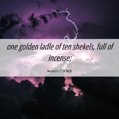 Picture 06 - Numbers 7:38 WEB - one golden ladle of ten shekels, full of - Bible Verse Picture