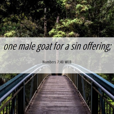 Picture 06 - Numbers 7:40 WEB - one male goat for a sin - Bible Verse Picture