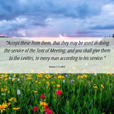 Picture 06 - Numbers 7:5 WEB - 