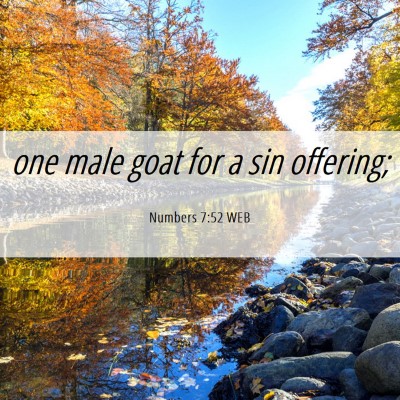 Picture 06 - Numbers 7:52 WEB - one male goat for a sin - Bible Verse Picture