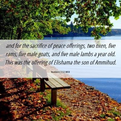 Picture 06 - Numbers 7:53 WEB - and for the sacrifice of peace offerings, two - Bible Verse Picture