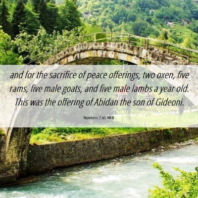Picture 06 - Numbers 7:65 WEB - and for the sacrifice of peace offerings, two - Bible Verse Picture
