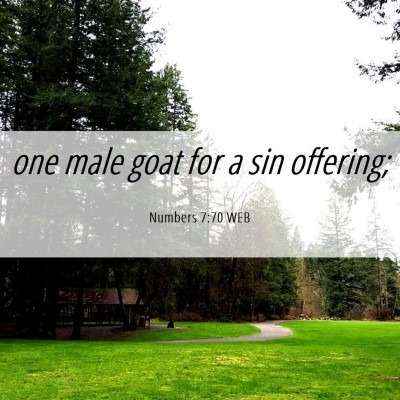 Picture 06 - Numbers 7:70 WEB - one male goat for a sin - Bible Verse Picture