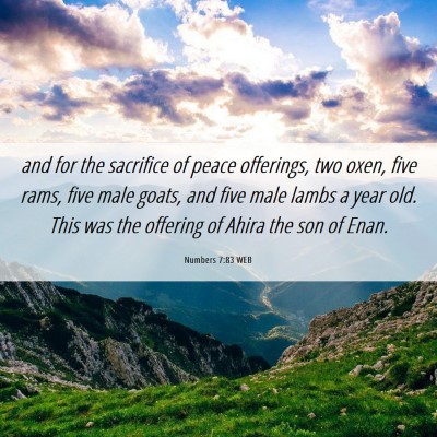 Picture 06 - Numbers 7:83 WEB - and for the sacrifice of peace offerings, two - Bible Verse Picture