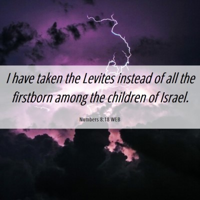 Picture 06 - Numbers 8:18 WEB - I have taken the Levites instead of all the - Bible Verse Picture