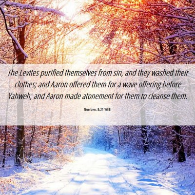 Picture 06 - Numbers 8:21 WEB - The Levites purified themselves from sin, and - Bible Verse Picture
