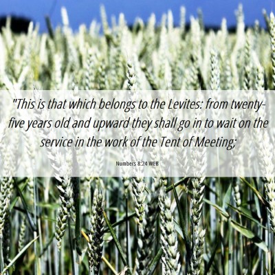 Picture 06 - Numbers 8:24 WEB - 