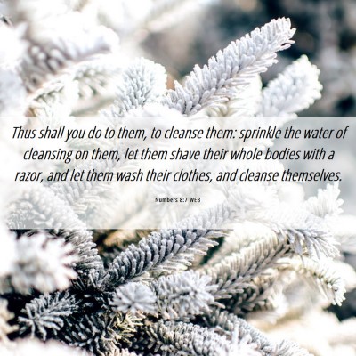 Picture 06 - Numbers 8:7 WEB - Thus shall you do to them, to cleanse them: - Bible Verse Picture