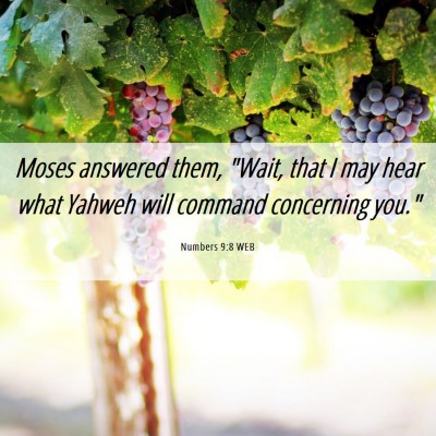 Picture 06 - Numbers 9:8 WEB - Moses answered them, 