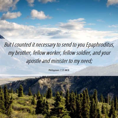 Picture 06 - Philippians 2:25 WEB - But I counted it necessary to send to you - Bible Verse Picture