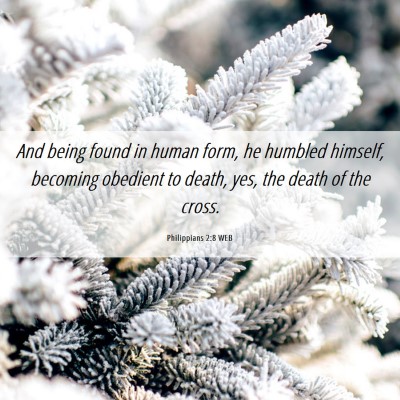 Picture 06 - Philippians 2:8 WEB - And being found in human form, he humbled - Bible Verse Picture