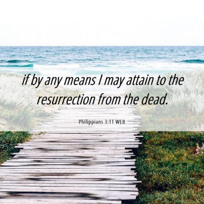 Picture 06 - Philippians 3:11 WEB - if by any means I may attain to the resurrection - Bible Verse Picture