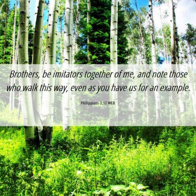 Picture 06 - Philippians 3:17 WEB - Brothers, be imitators together of me, and note - Bible Verse Picture