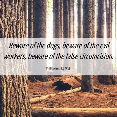 Picture 06 - Philippians 3:2 WEB - Beware of the dogs, beware of the evil workers, - Bible Verse Picture