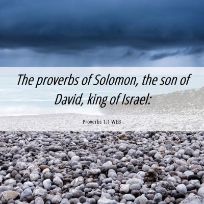 Picture 06 - Proverbs 1:1 WEB - The proverbs of Solomon, the son of David, king - Bible Verse Picture
