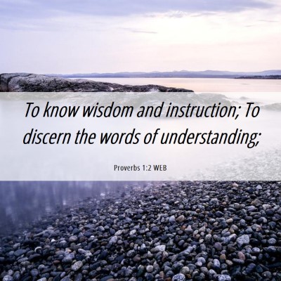 Picture 06 - Proverbs 1:2 WEB - To know wisdom and instruction; To discern the - Bible Verse Picture