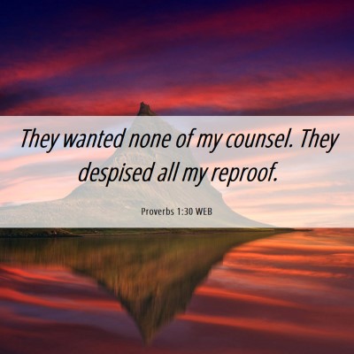Picture 06 - Proverbs 1:30 WEB - They wanted none of my counsel. They despised all - Bible Verse Picture