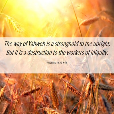 Picture 06 - Proverbs 10:29 WEB - The way of Yahweh is a stronghold to the upright, - Bible Verse Picture