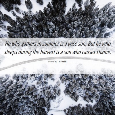 Picture 06 - Proverbs 10:5 WEB - He who gathers in summer is a wise son, But he - Bible Verse Picture