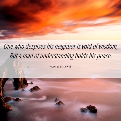 Picture 06 - Proverbs 11:12 WEB - One who despises his neighbor is void of wisdom, - Bible Verse Picture