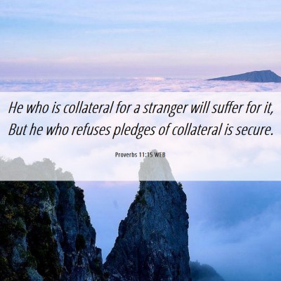 Picture 06 - Proverbs 11:15 WEB - He who is collateral for a stranger will suffer - Bible Verse Picture